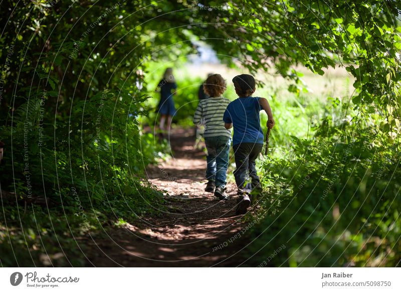 In the game Forest children Forest kindergarten Running Playing Waldorf kindergarten Summer Nature Infancy