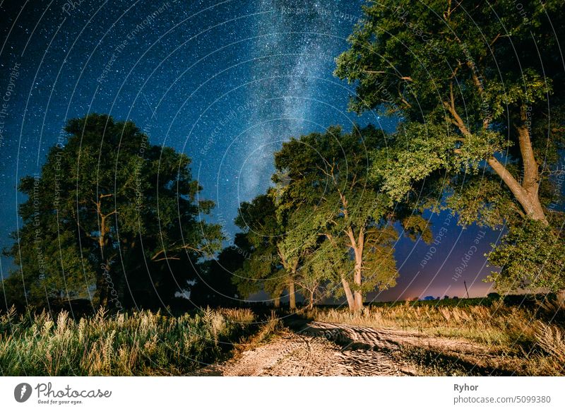 Milky Way Galaxy In Night Starry Sky Above Tree In Summer Forest. Glowing Stars Above Landscape. View From Europe meteor scene night sky meteor shower universe