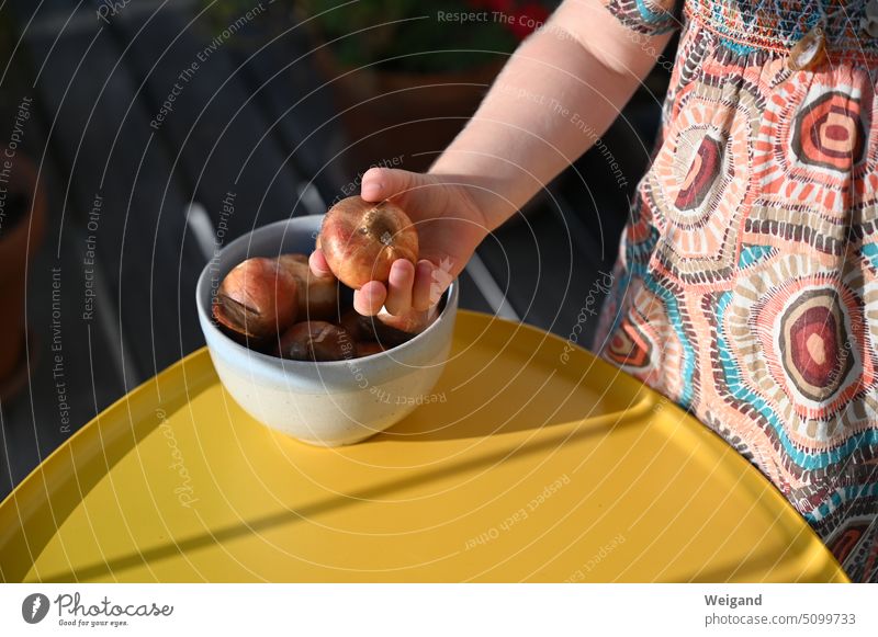 A small child in a colorful patterned dress and a shell necklace holds an ornamental quince in her right hand, which she has just taken from a ceramic bowl standing on a yellow sunlit table outside on the balcony