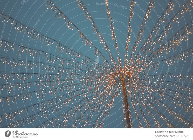 Glittering net of lights against the blue evening sky light net Lighting Fairy lights blue hour Twilight sparkle Illuminate Christmas & Advent Christmas Fair