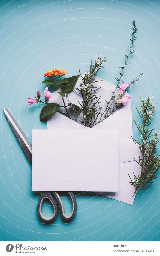 Floral wedding natural mockup with a white envelope filled with flowers floral background flat lay gardening blank blue spring springtime seasonal bouquet