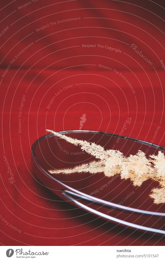 Minimal and abstract background in intense red with a dried fern over a mirror minimal nature delicate fragile fragility cloth paper texture reflection