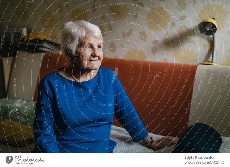 Portrait of an elderly woman in her home smiling happy enjoying positive people senior mature female house old aging domestic life grandmother pensioner retired