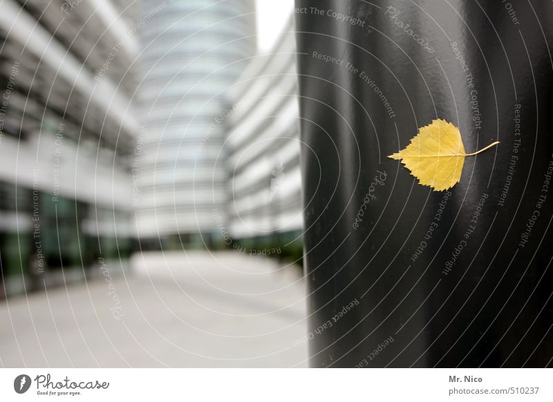 sheet in front of (building) fence post Town Downtown High-rise Bank building Places Marketplace Building Architecture Yellow Lamp post Autumn Leaf Loneliness