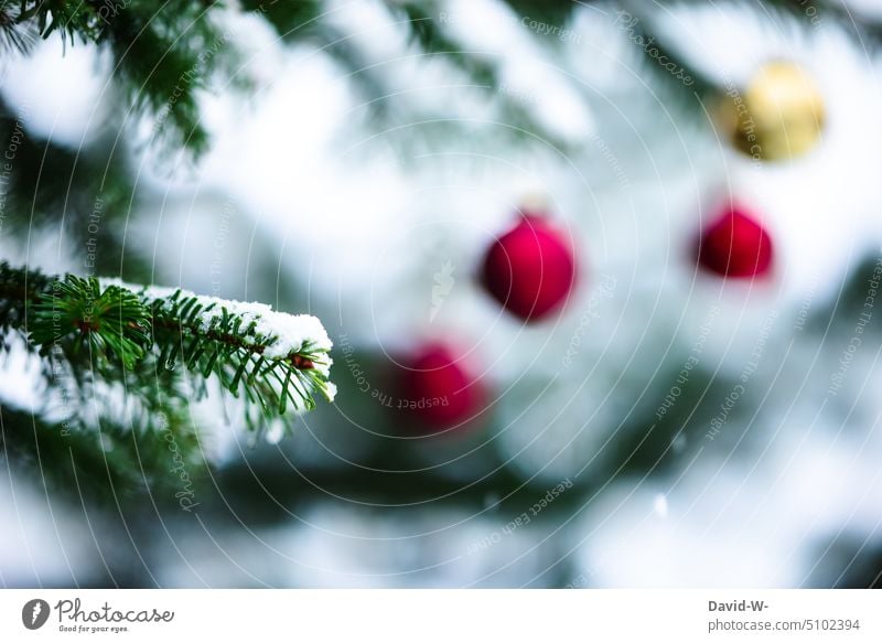 Onset of winter at Christmas time onset of winter Snow Christmassy Fir tree snow-covered Snowfall Christmas tree fir tree Christmas mood Moody baubles Festive