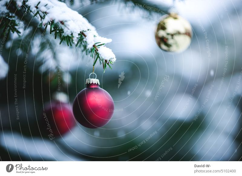 Christmas tree baubles on a Christmas tree in winter Glitter Ball Snow Winter Christmas decoration Christmassy Christmas card Festive Decoration fir tree