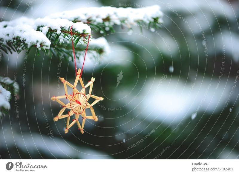 Christmas decoration - straw star on a fir tree covered with snow in winter Winter Stars Christmas tree Snow Snowfall snowflakes Christmas star christmas time