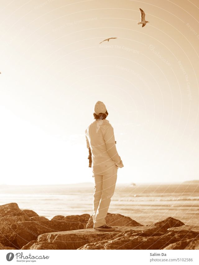 Man on beach against sunny sky with view of flying birds man with hat man and nature Beach Beach life Beach vacation Sun sunlit sky Sunlight sunny day