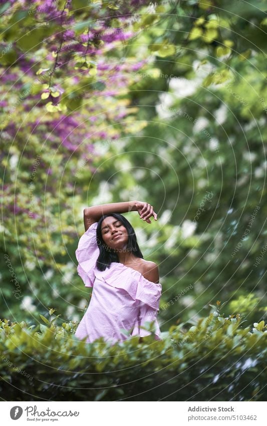 black woman amidst blooming branches tree flower lush park spring tender weekend female young ethnic romantic summer calm brunette sensual blossom daytime