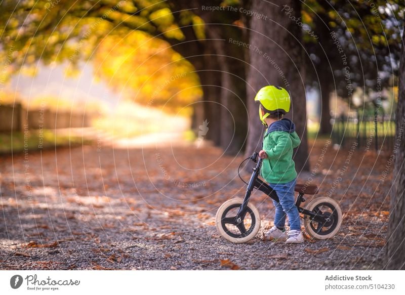 Little boy riding bike in park ride bicycle autumn run bike balance bike happy foliage pathway nature daytime sport child kid childhood street colorful fall