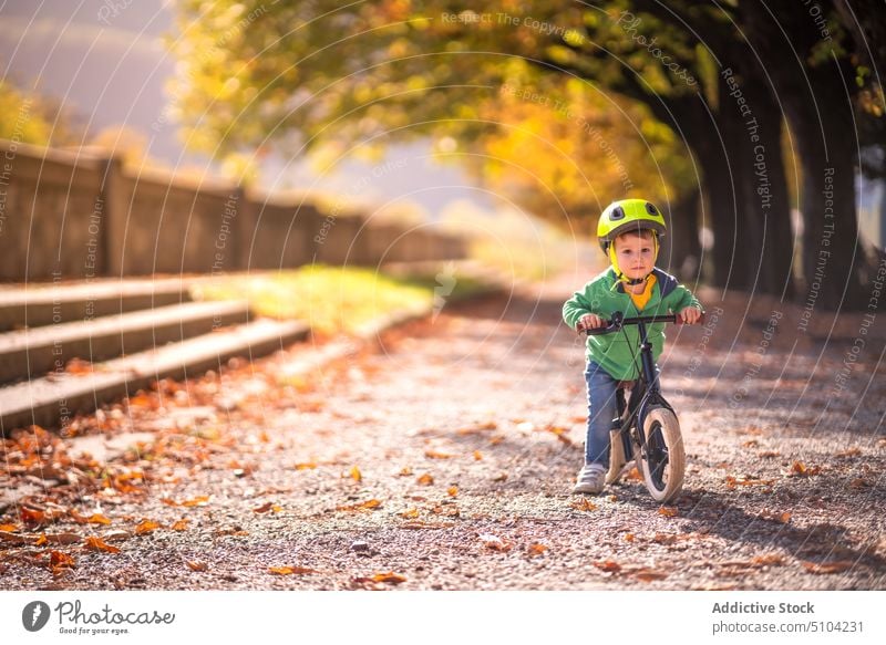 Little boy riding bike in park ride bicycle autumn run bike balance bike happy foliage pathway nature daytime sport child kid childhood street colorful fall