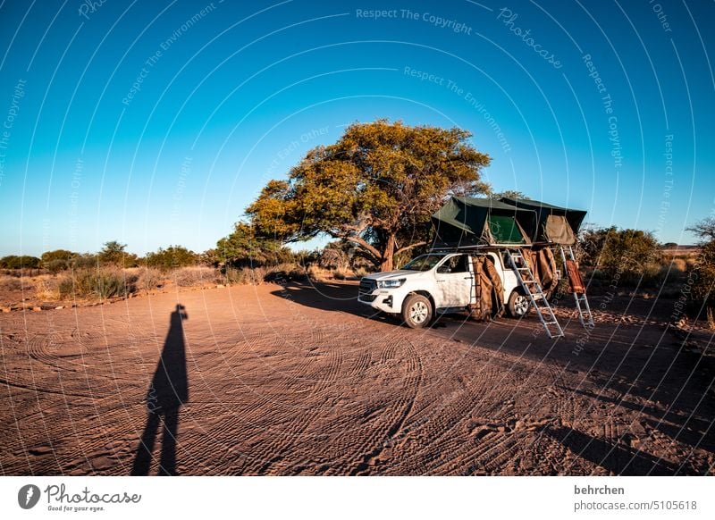 close to nature | sleep outside Wilderness Camping site camp campsite roof tent Tent jeep Sunlight Shadow Light Colour photo Wanderlust travel Far-off places