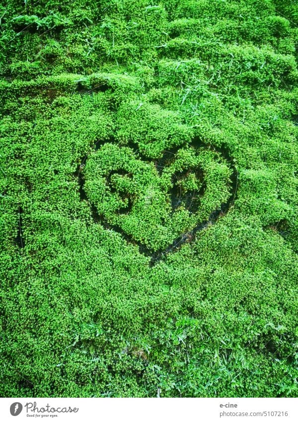 S and R a heart in green moss Moss Green Nature Plant Colour photo Exterior shot Deserted Detail Heart Heart-shaped Love Romance Infatuation Emotions