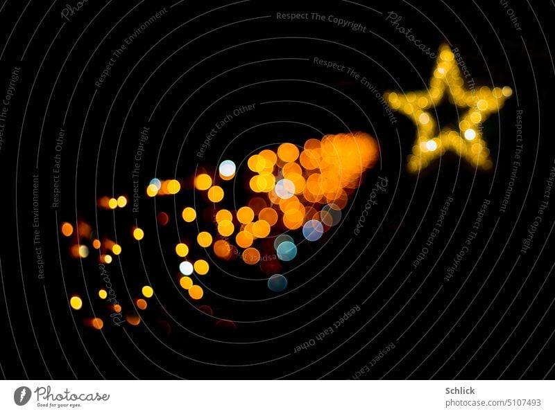 Poinsettia festive bokeh of a Christmas lights Christmas star Christmas & Advent Stars Morning Star Christmas decoration Star (Symbol) Decoration Comet