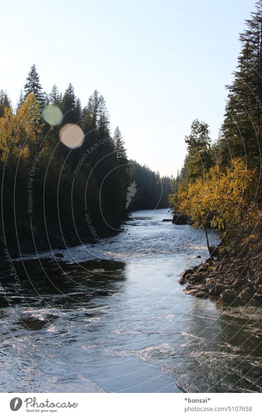 North Thompson River Tributary Rapid Water Sun Sky Rock trees Nature Landscape cirrostratus clouds Horizon Summer Canada British Columbia Exterior shot