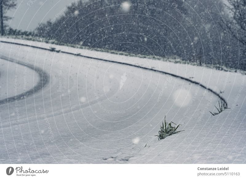 Road curve under falling snow with ruts and grass in foreground. Traffic lane slippery Snow Winter scatter Ice Cold Street Holiday season Transport Curve