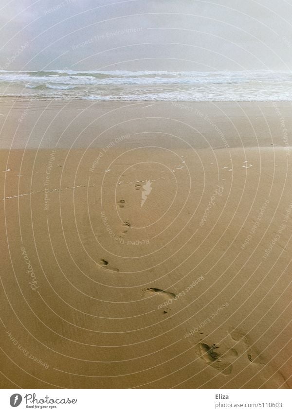 Footprints in the sand, lead on the beach towards the sea footprints Sand Beach Ocean Sandy beach Waves vacation Relaxation Tracks Exterior shot coast Water