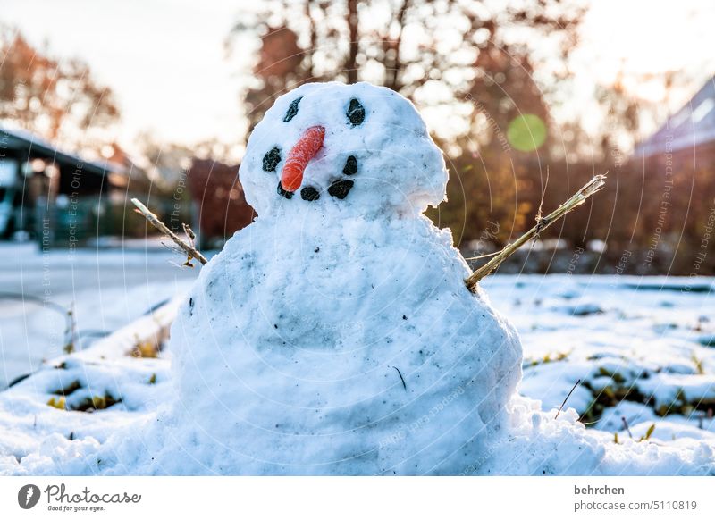 karlchen Cold Snow Colour photo Nature Cute Winter Garden Snowman Seasons Carrot Small Exterior shot Frost Infancy Childhood memory