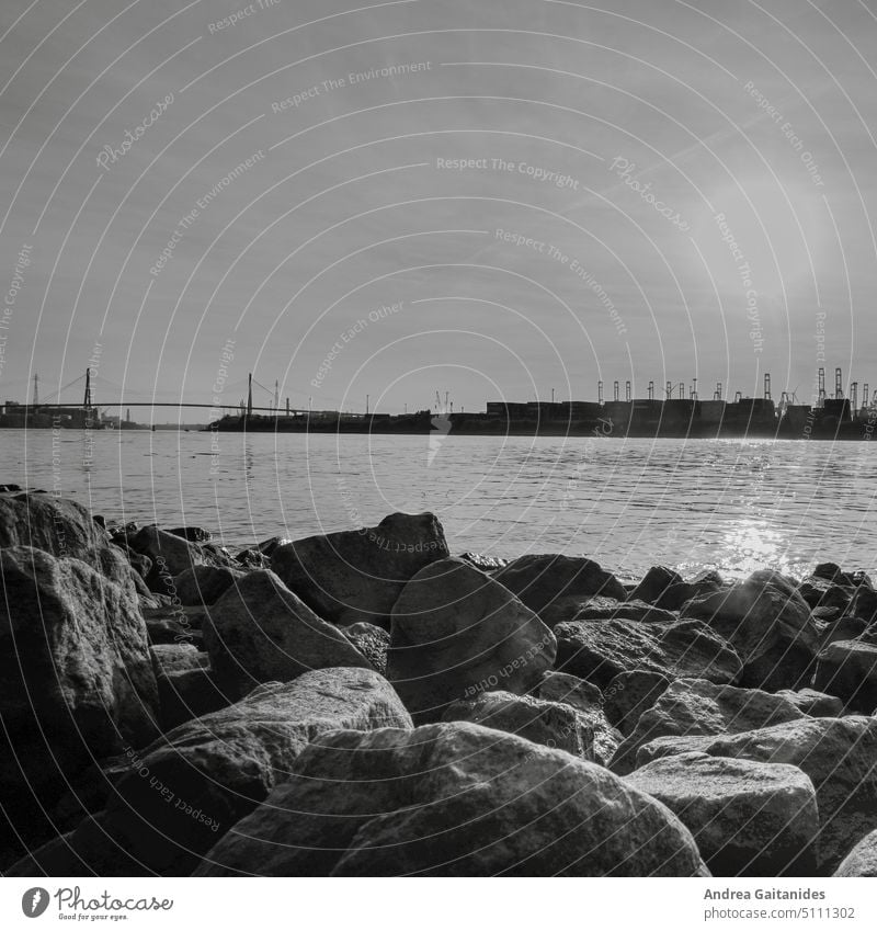 View of the Elbe from the stony bank, harbor cranes and the Köhlbrand Bridge in the background, stones in the foreground, black and white, square, 1:1 format