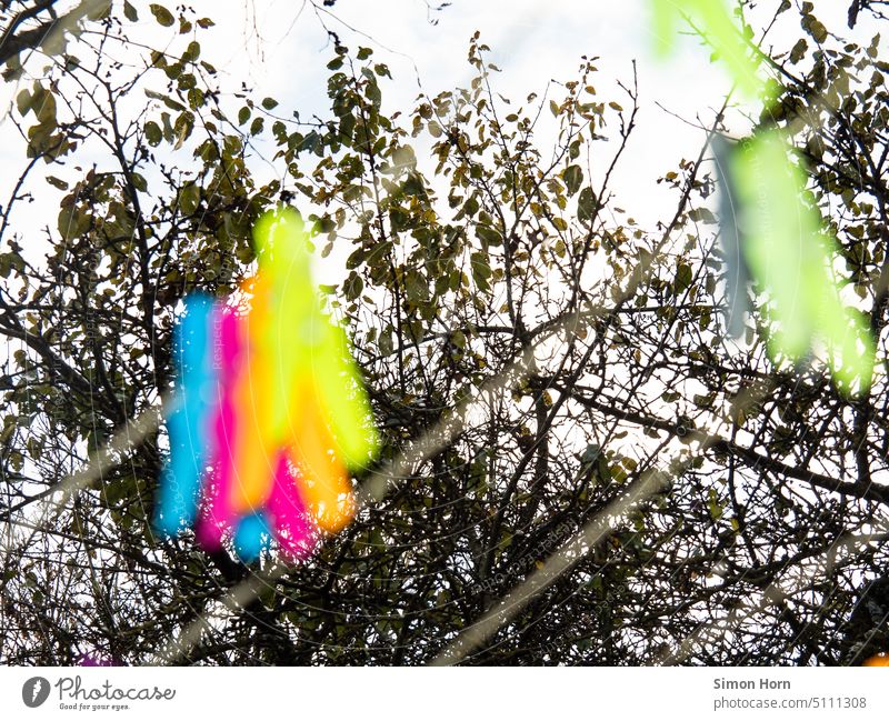 Paint stains in front of bare branches Patch of colour variegated colourful Branches and twigs Bleak Contrast Environment Nature blurred blurriness Clothes peg