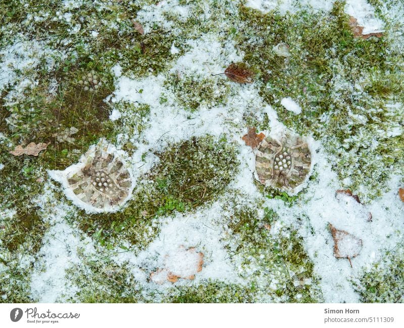 Tracks in the melting snow CO2 footprint footprints Animal tracks Snow Lanes & trails Environment Meadow nature conservation Environmental Destruction Winter