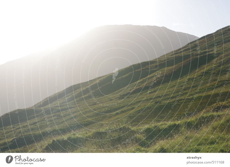 Scotland's most beautiful side (Glencoe Valley) Environment Nature Landscape Plant Animal Elements Sky Sun Sunlight Autumn Beautiful weather Grass Moss Meadow