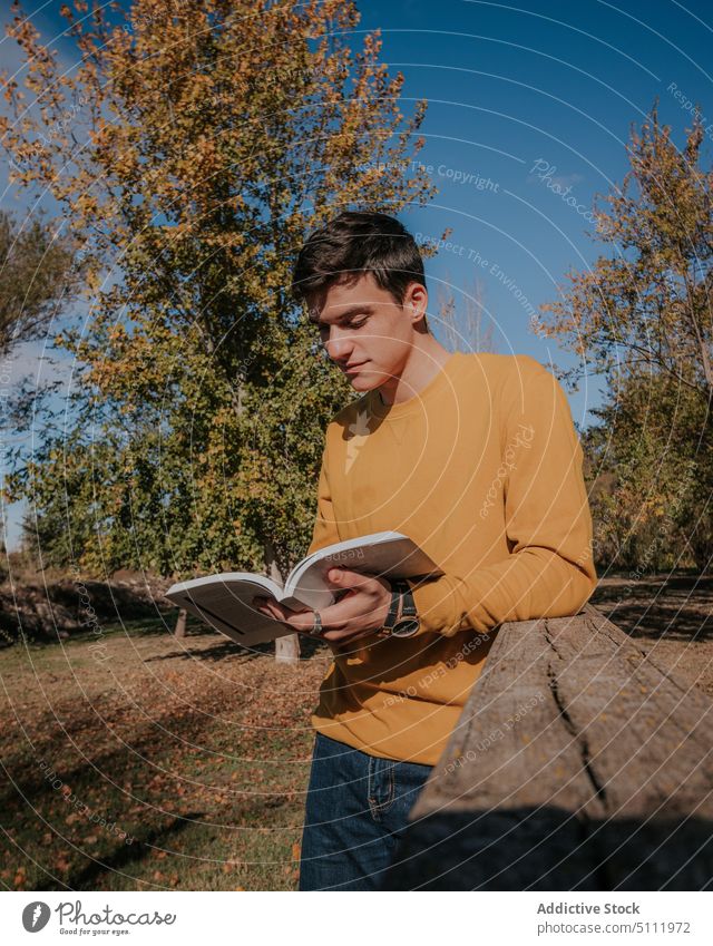 Man standing with book on wooden bridge man read footbridge earphones concentrate park hobby nature tree male literature young novel green casual sun summer