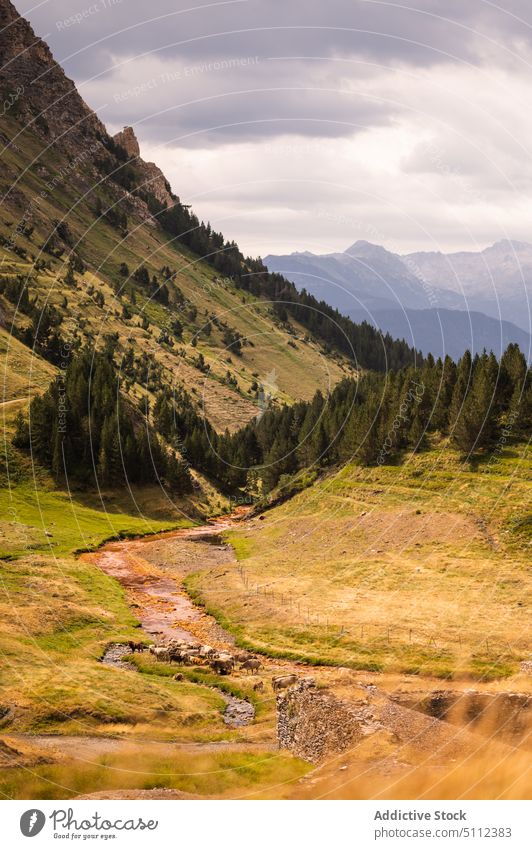 Green valley in mountains on cloudy day settlement landscape nature picturesque environment village ridge terrain field range scenery scenic highland vast