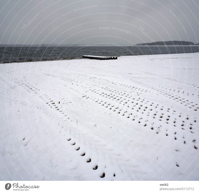 Winter tracks Lakeside Nature Environment Snow Frost Black White Calm Surface of water Exterior shot planks Ice Cold Beautiful weather Jetty Deserted