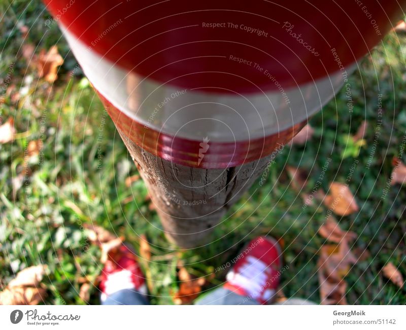 hiking day Hiking Stick Footpath Autumn Wood Wood flour Leaf Footwear Austria Federal State of Styria Red-white-red White Green Brown Man Exterior shot rambling