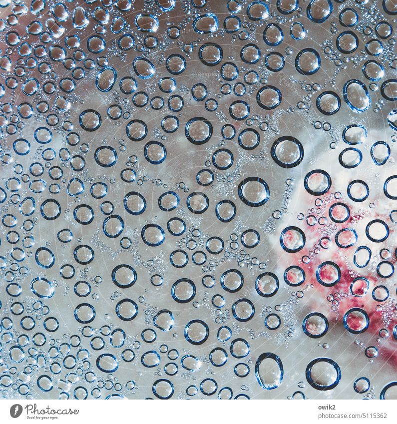 Social gathering Drops of water Many Round Small quantity Close-up Structures and shapes Wet Pane Detail Rings Exterior shot Glittering Macro (Extreme close-up)