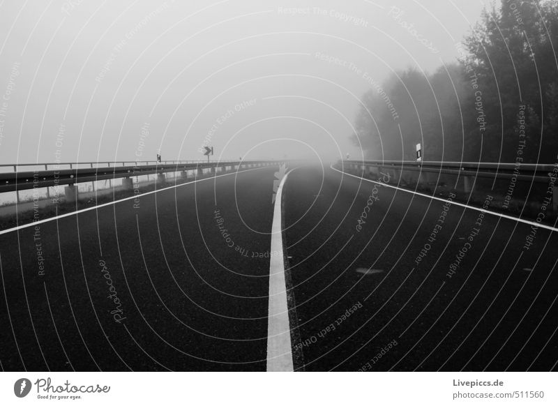 Road to... Environment Nature Landscape Air Sky Autumn Bad weather Fog Plant Tree Grass Bushes Wild plant Field Forest Transport Traffic infrastructure Street