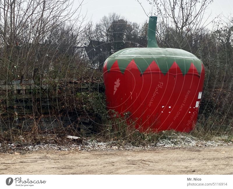 Strawberry stand in hibernation Fruit- or Vegetable stall Vegetarian diet Red Food Agriculture Market day Fruit seller Vegetable market Harvest Fruit store