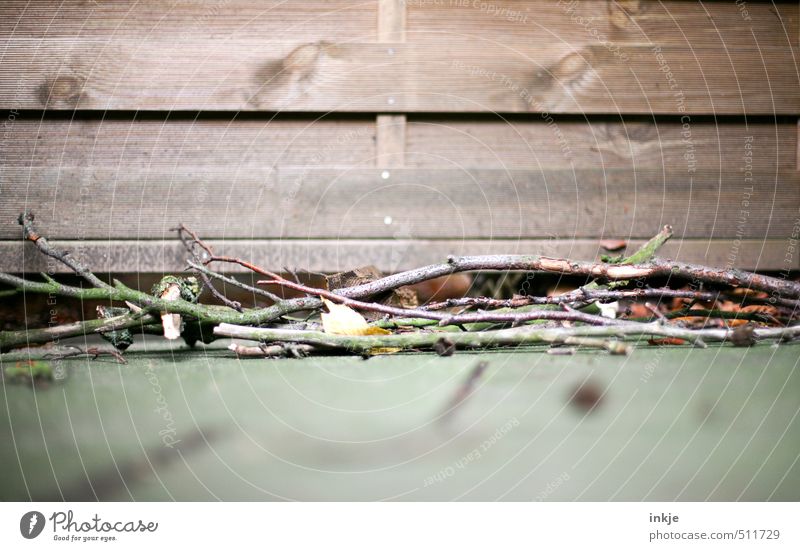 autumn Garden Nature Autumn Branch Stick Twigs and branches Deserted Wall (barrier) Wall (building) Terrace Wooden fence Lie Dry Brown Change Heap Colour photo