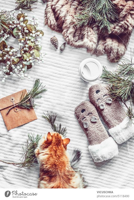 Cozy winter and Christmas lifestyle with fir branches, warm handmade socks , ginger cat and envelope on white blanket, top view. Frame cozy christmas frame