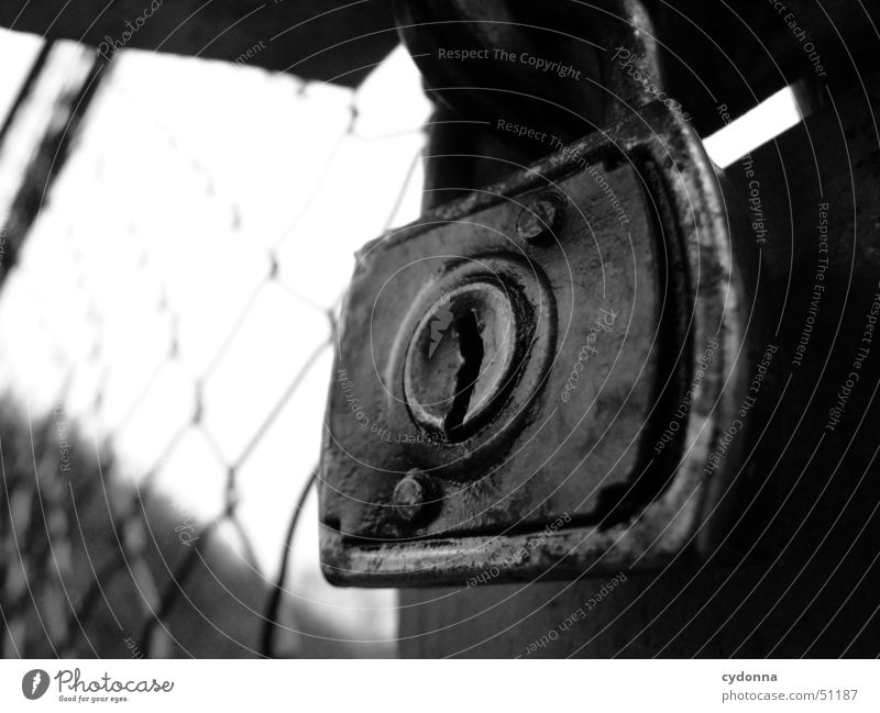 castle Key Fence Lubricant Nostalgia Barrier Derelict Things Macro (Extreme close-up) Close-up Castle Black & white photo Oil Old Perspective Shabby