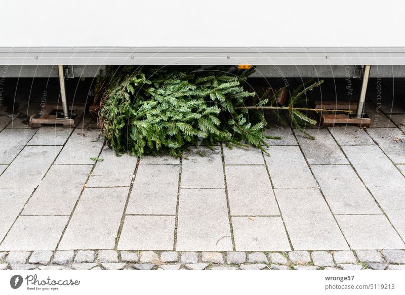 Badly hidden Christmas tree | Merry Christmas christmas eve Christmas Fair Hiding place covert Reservation Christmas & Advent Christmas mood the last off