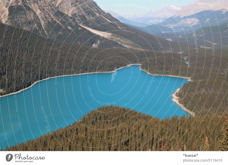 Peyto Lake mountain lake Water Blue Turquoise Mountain Glacier Sun Sky Rock trees Nature Landscape Horizon Summer Alberta Canada Banff National Park