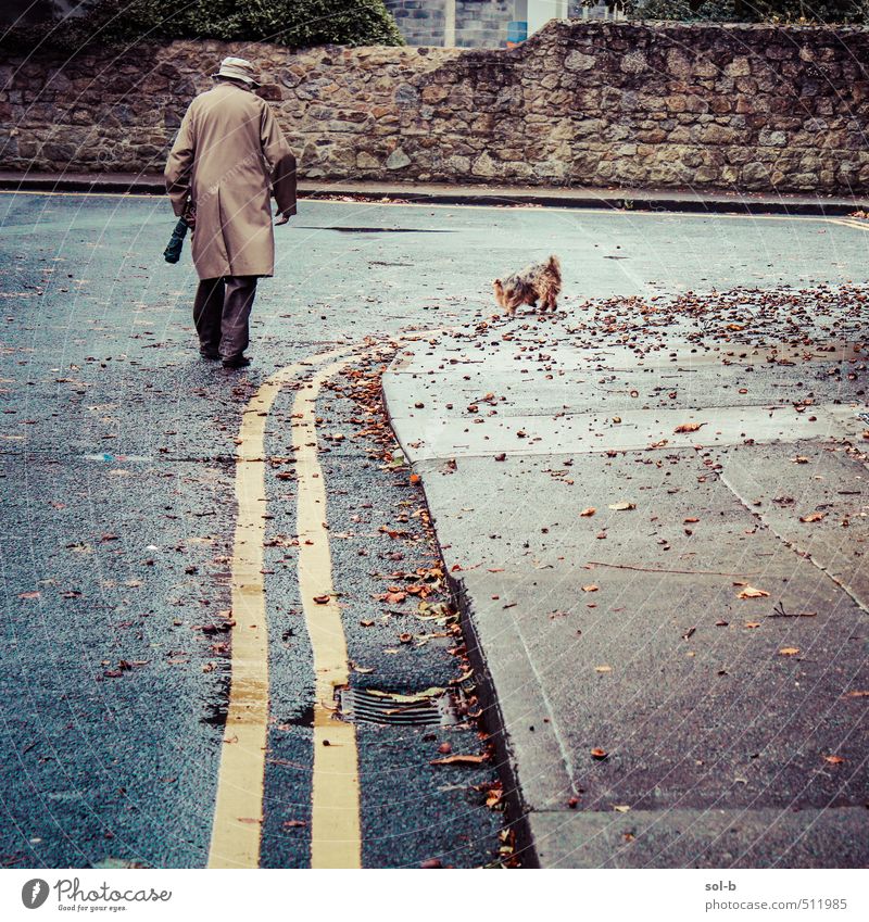 suburbia Human being Female senior Woman Male senior Man Senior citizen Life 1 45 - 60 years Adults 60 years and older Nature Leaf Village Wall (barrier)