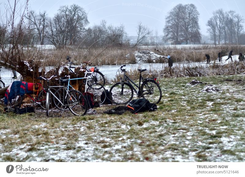 The pond is frozen! Quickly on the bikes and out to skate! bicycles Assembly Youth (Young adults) Frost Ice Ice-skating Nature free time Winter in common Sports