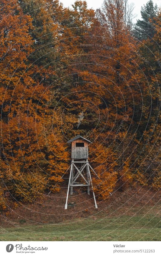 Gorgeous colourful autumn forest with a hunting seat watching the meadow in front of it. Strazovske vrchy, Slovakia, Eastern Europe. The beauty of November