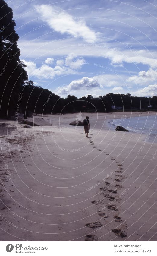 Traces in the sand Coast Search Footprint Sand Tracks Human being pathless Row Feet Barefoot