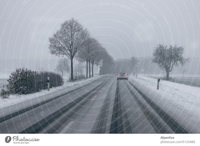 winter joys Snow Snowfall Street Road traffic Frost Winter Exterior shot Bad weather Cold Dangerous Traffic infrastructure Ice slippery road Motoring Weather