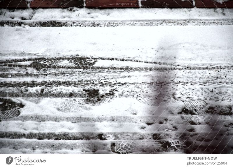 After light snowfall various traces of movement appear on the sidewalk Tracks variety Snow first snow Garden path wheel tracks footprints paw prints Skid marks