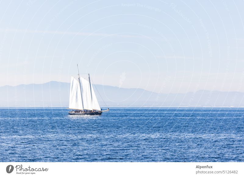 country in view Sailboat Water Sailing Watercraft Ocean ocean Vacation & Travel Summer Navigation Sailing ship Pacific Ocean Horizon Colour photo Freedom