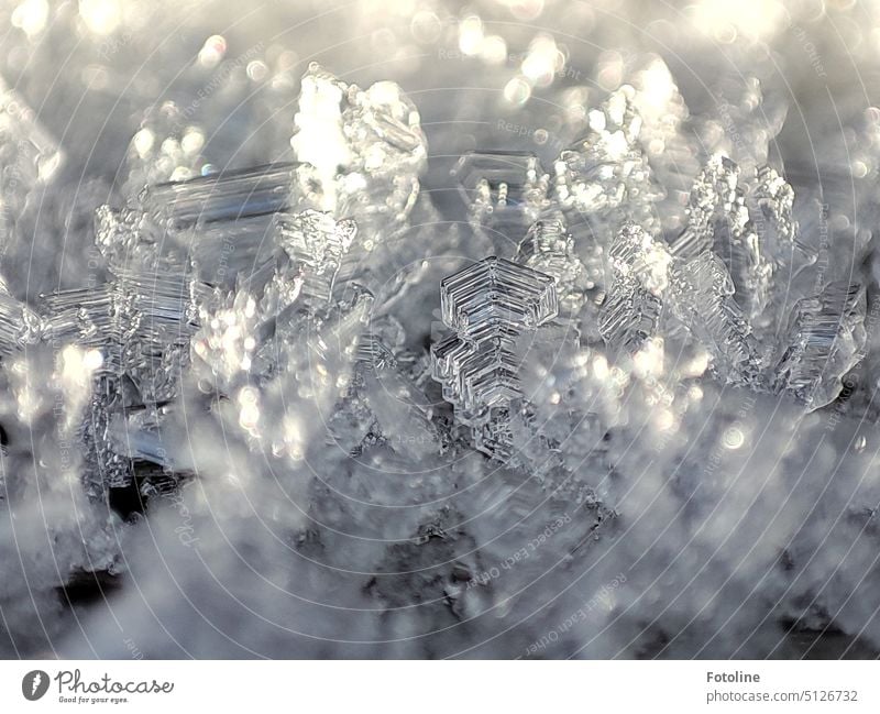 Transparent fine ice crystals in very different sizes and shapes rise filigree into the air. Ice crystal Winter Cold Frost Frozen Freeze Close-up