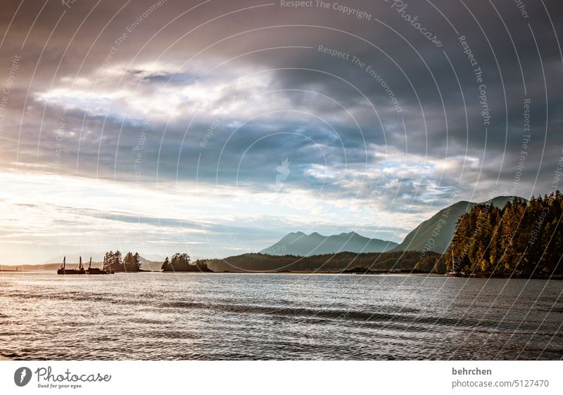 In another world Longing Far-off places Sky Clouds especially Mountain Nature coast Landscape Ocean Forest trees British Columbia Water Adventure Freedom Canada