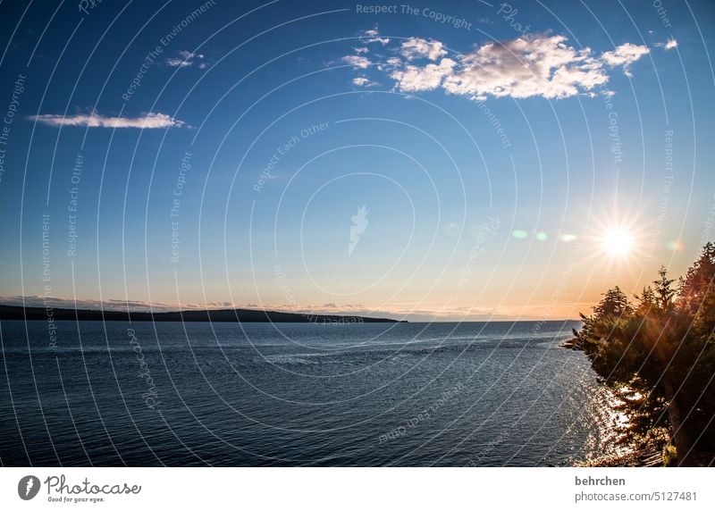 sunny day Beach solar star Twilight Sunlight beautifully Ocean Longing silent Peaceful Sky wide Far-off places Wanderlust especially Vacation & Travel Tourism