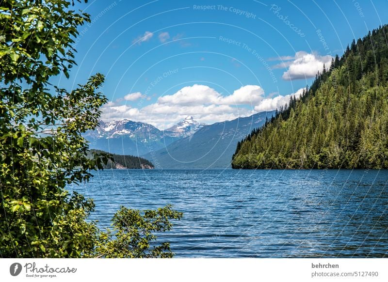 Canada Waves Surface of water Clearwater Lake Sky Water Mountain Forest Landscape Restorative To enjoy Wanderlust mountain lake North America British Columbia