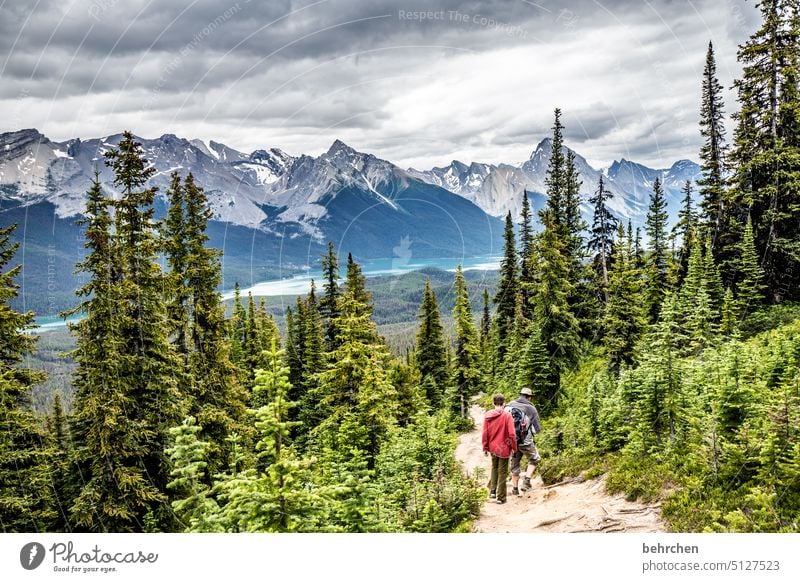 red jacket and the wolf Jasper national park Alberta Sky North America Landscape Fantastic Exterior shot especially wide Nature trees Adventure Hiking Canada